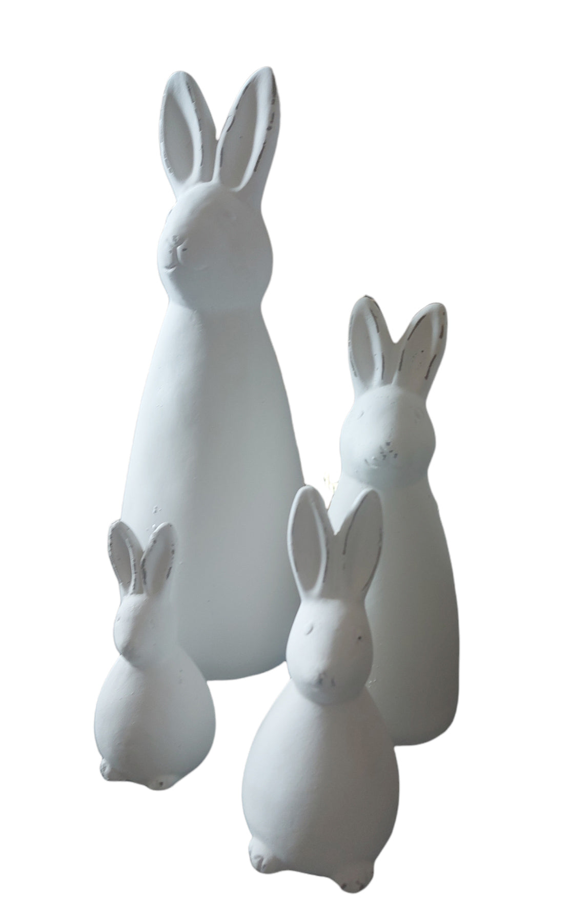 Wide Bunny-Extra Small